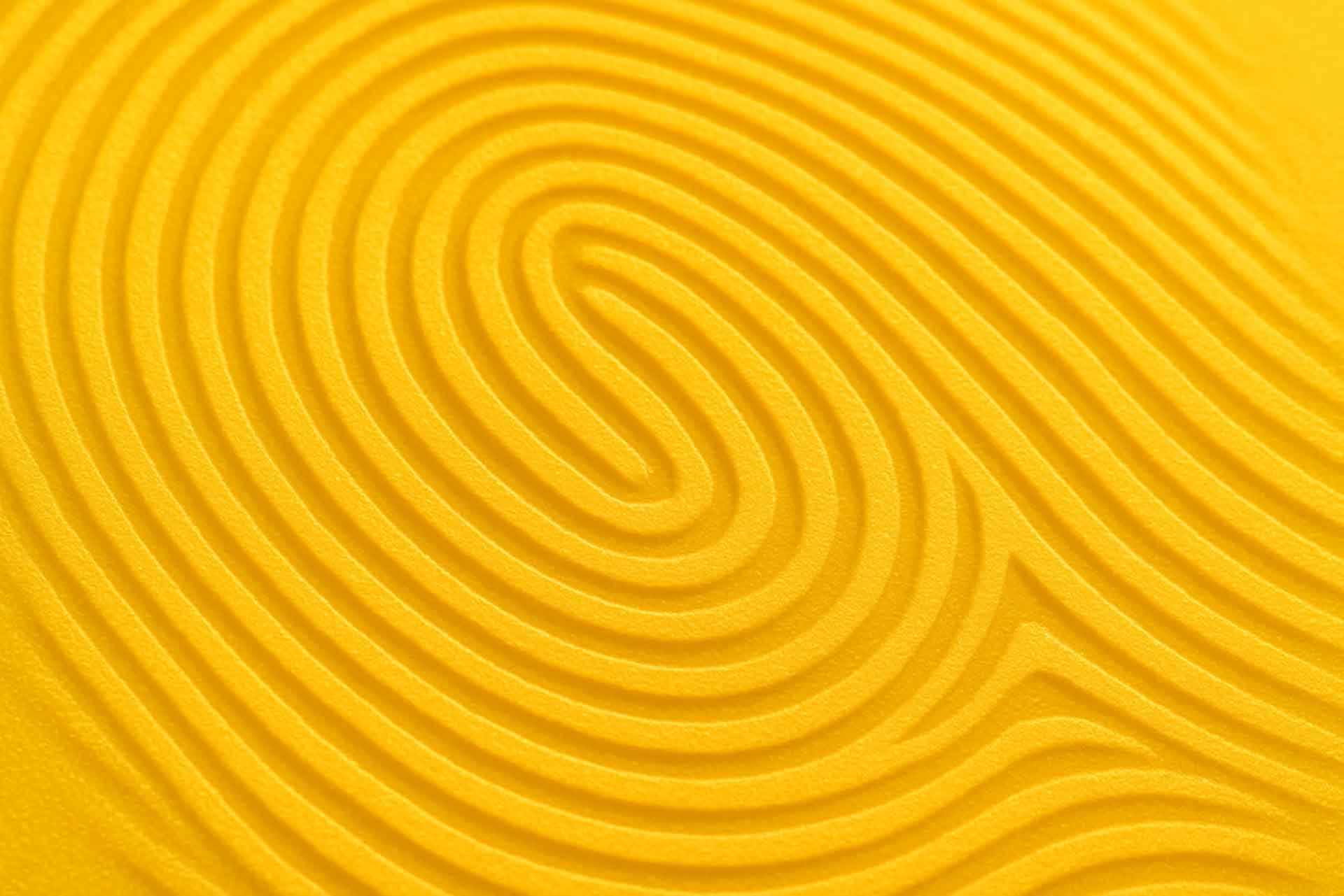 Branding Designer in Pune