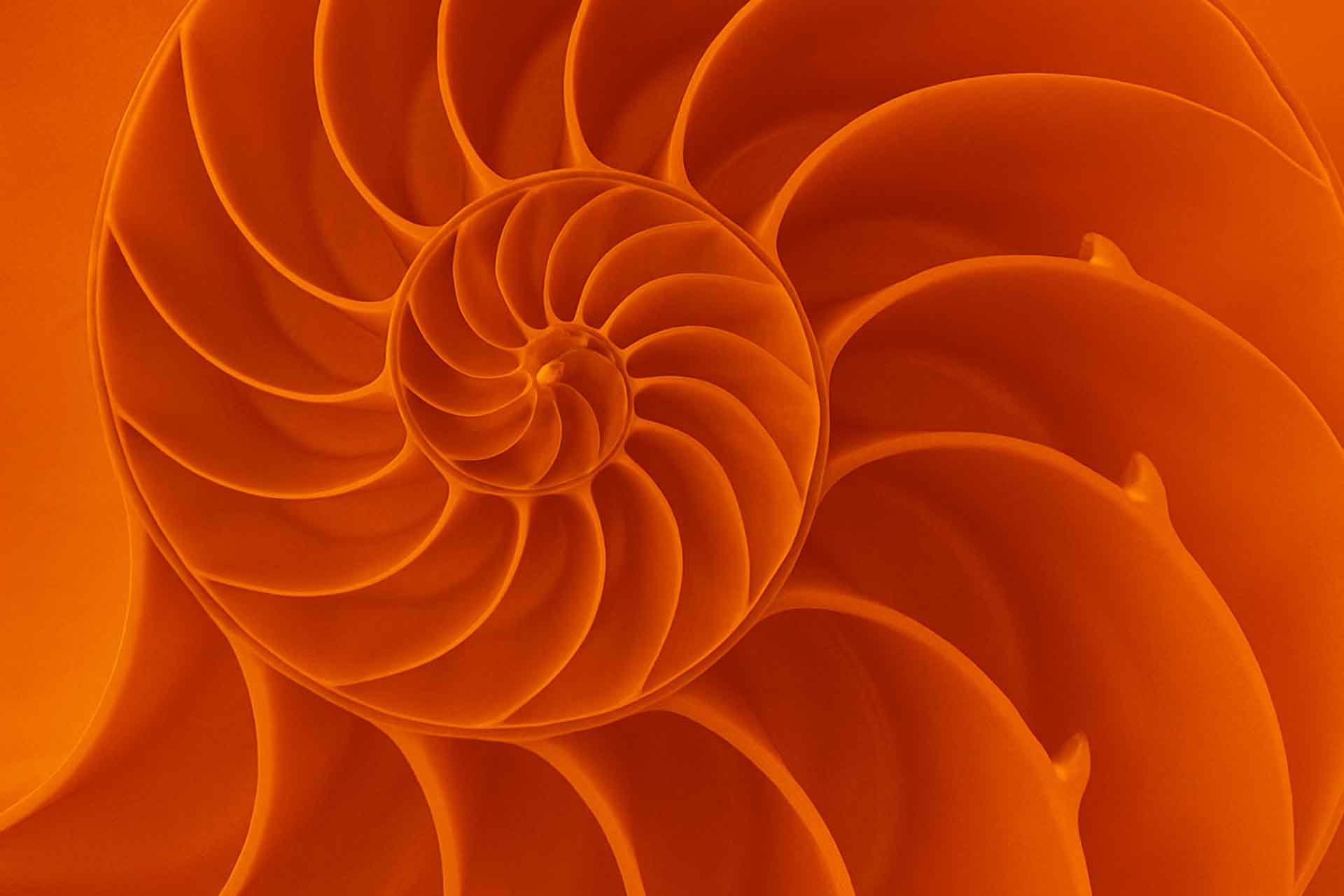 Indoor, Outdoor Branding Services